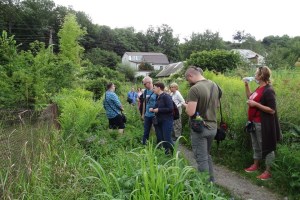 Обзорная экскурсия по городу Василькову